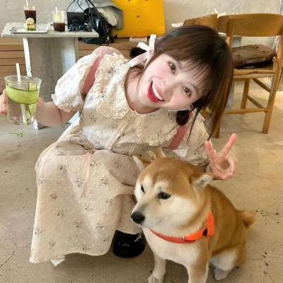 大主宰年番